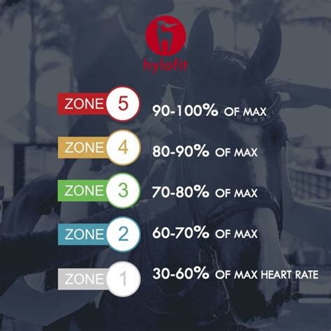 How Zone Training Can Transform Your Horses Fitness Eventing Nation