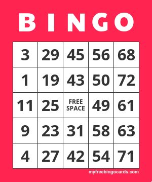 Bingo