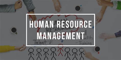 Human Resources Leadership Program Management And Leadership