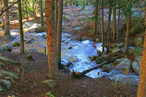 Top 3 Favorite Hikes in Evergreen Colorado (by a Local)