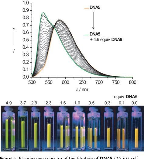 Table 1 From Fluorescent Color Readout Of DNA Hybridization With