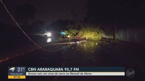 Chuva Forte Derruba árvores Em Araraquara E Causa Transtornos São