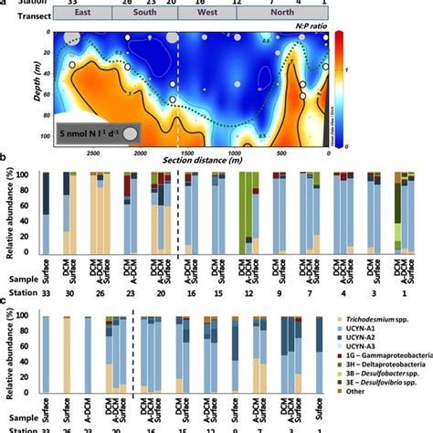 Cross section depth profiles of environmental variables. Photic zone ...