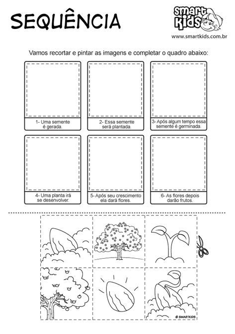 8 Ideias De Ciclo De Vida Das Plantas Ciencias Ciclo Da Vida Atividades Sensoriais
