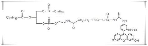 Dspe Peg Fitcfluorescein Peg Dspe修饰性peg磷脂 聚乙二醇 荧光素 哔哩哔哩