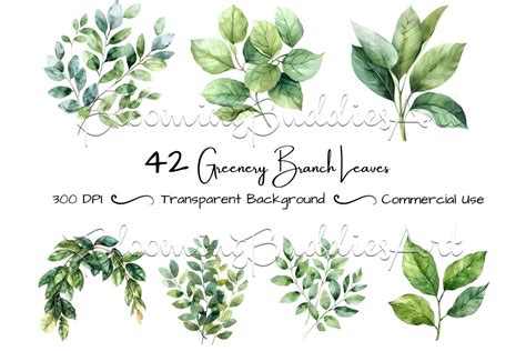 Branch Leaves Greenery Clipart Set Graphic By Debbie Fagan Creative