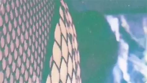 Free Eating Fat Pussy Porn Videos XHamster