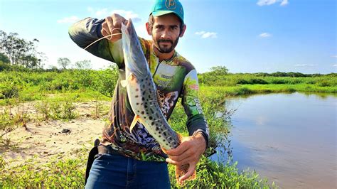 ATÉ HOJE NUNCA VI UMA PESCARIA SURPREENDENTE ASSIM PEIXES GIGANTE