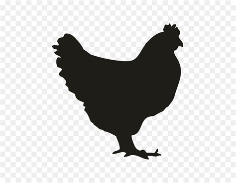 Chicken Silhouette Vector