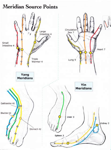 Meridian Balancing — Eden Method Victoria | Acupressure points