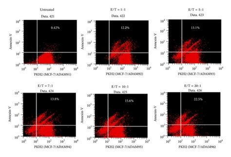 Analysis Of Apoptotic Cell Death Induced In K562 Cells A K562 Cell Download Scientific