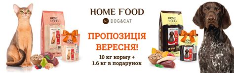 Зоомагазин Рыжий Кот. Зоотовары, товары для животных.