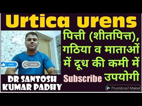 Urtica Urens Uses In Homeopathy For Urticaria Gout And Agalactia YouTube