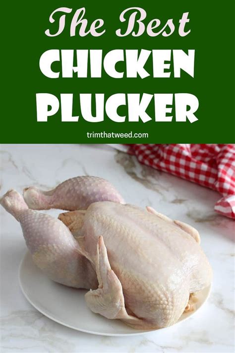 Best Chicken Plucker Artofit