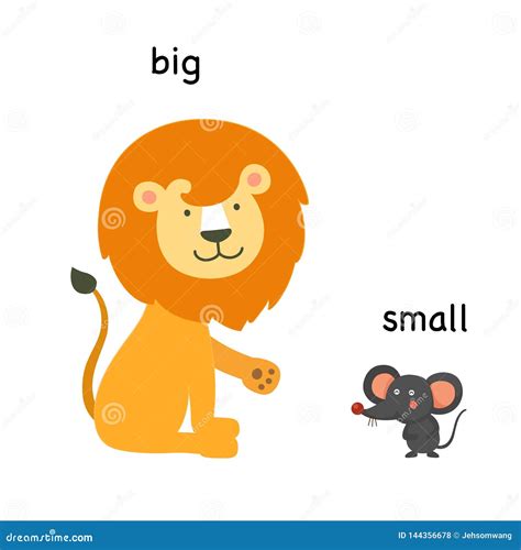 Big And Small Animals