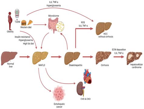 Cancers Free Full Text Multifactorial Diseases Of The Heart