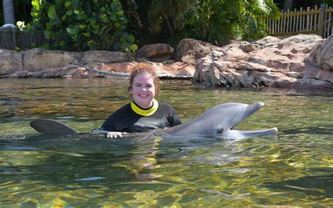 Tad's Rad Discovery Cove Dolphin Swim Experience & FAQ