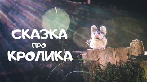 Сказка-притча про Кролика | С юмором о серьезном - YouTube