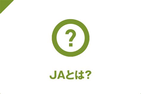 にら 【公式】ja高知県 ｜県産品の通販も