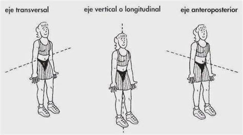 Eje Longitudinal O Vertical Es El Perpendicular Al Suelo Eje