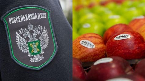 Rusia interzice de astăzi importul de produse vegetale din Moldova