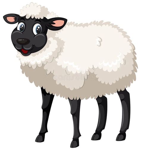 Cute Black And White Sheep Stock Vector Illustration Of Clipart