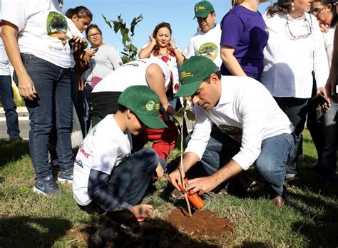 Mauricio Vila Inicia La Campaña De Reforestación 2019 Siembran Los