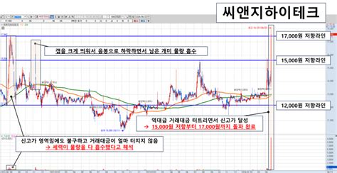 씨앤지하이테크264660 분석 및 예측 도니 블로그