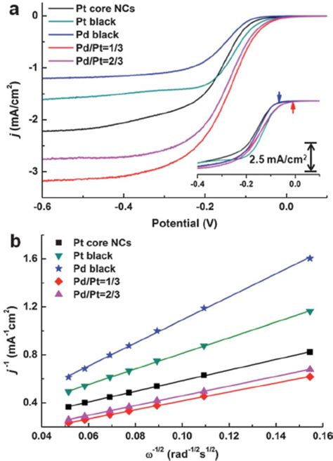 Orr Kinetic Study With Rde Technique A Polarization Curves