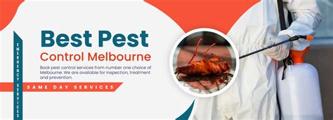 Pest Control Melbourne 0488 851 646 1 Pest Treatment Company