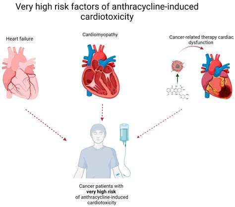 Cells Free Full Text Natural Products For Preventing And Managing