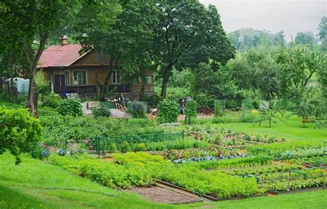 Why You Should Turn Your Yard Into a Mini-Farm