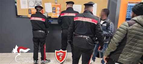 Campobasso Carabinieri A Piedi Per Contrastare Lo Spaccio E La Criminalit