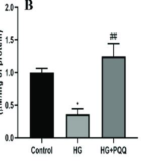 Effect Of Pqq On Oxidative Stress Marker A Mda Level B Gsh Level