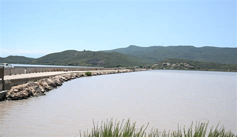 Laguna Di Orbetello Via Libera Al Parco Ambientale Corriere Toscano