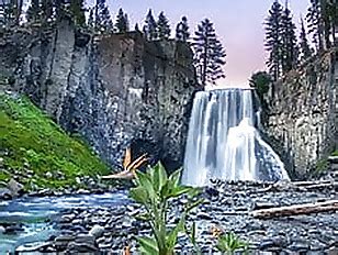 Mind Control Page Porn Tube Videos At YouJizz