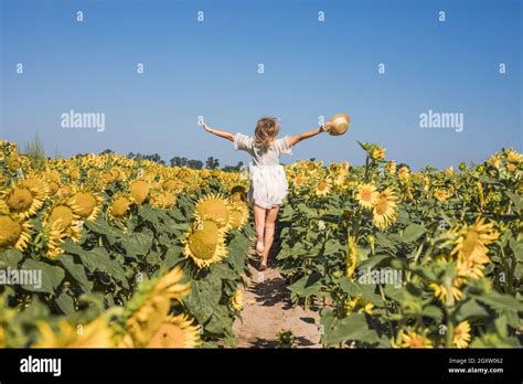 Beauty Sunlit Woman On Yellow Sunflower Field Freedom And Happiness