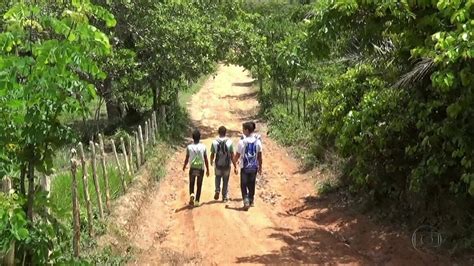 Alunos Que Moram Em Zona Rural Caminham Uma Hora Para Pegar Nibus