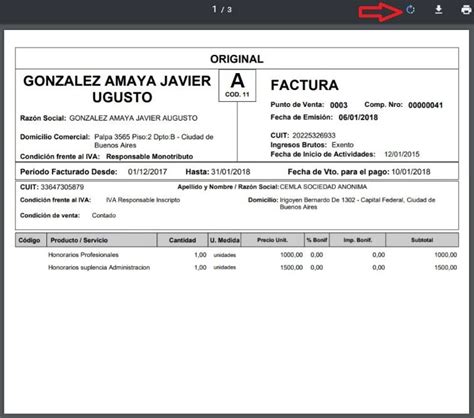 Ejemplo De Factura Argentina