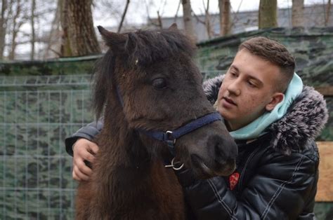 Nikodem z Miastka ma 18 lat i prowadzi azyl dla zwierząt Potrzebuje