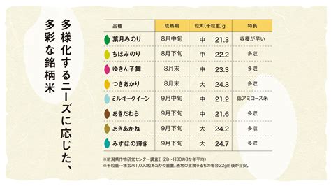 コシヒカリだけじゃない！ 新潟米がおいしい理由を総まとめ 最上級のごはんを求めて 新潟のつかいかた