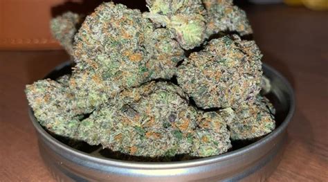 Strain Review Sunset Runtz By Urban Canna The Highest Critic