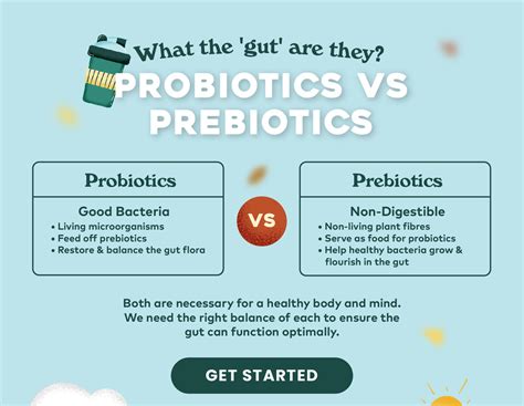 Prebiotic Vs Probiotic What The Gut Are They Amazin Graze Hong Kong