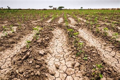 Corrientes Entre Las Provincias Con Más Consecuencias Negativas Por La Sequía Corrientes Hoy