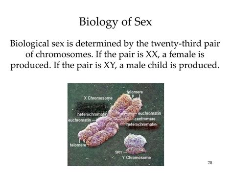 Ppt Nature Nurture And Human Diversity Chapter 4 Powerpoint