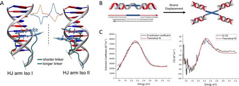 Pursuing Excitonic Energy Transfer With Programmable Dna Based Optical