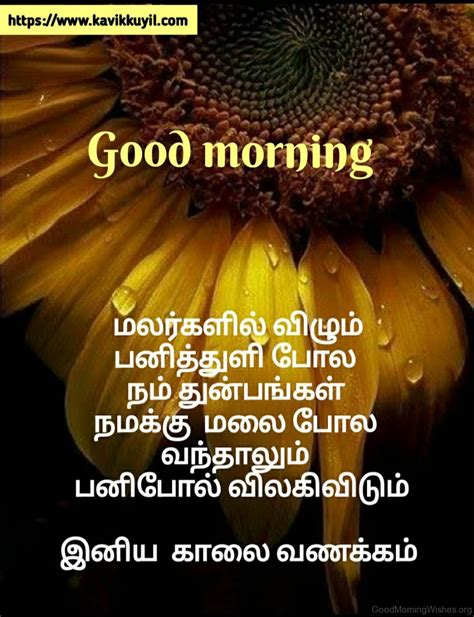 The Ultimate Collection Of Good Morning Images In Tamil Over 999