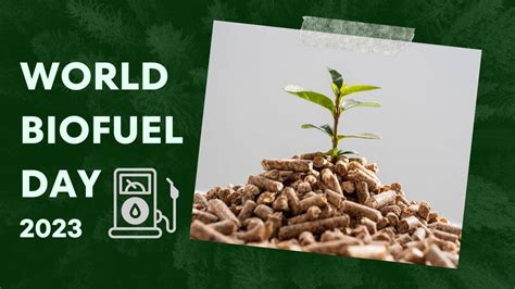 World Biofuel Day The Essential Solution For Today S Energy Demands