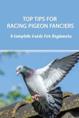 Top Tips For Racing Pigeon Fanciers A Complete Guide For Beginners