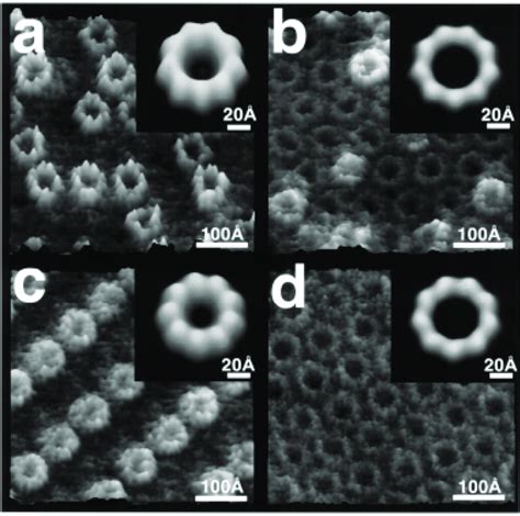 High Resolution Atomic Force Microscopy Topographic Maps Of The Lh